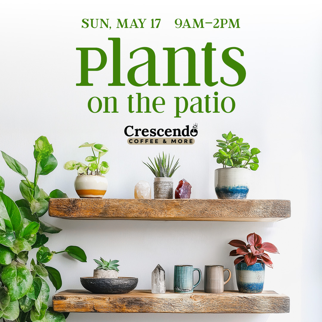 The Club Room is open this Sunday from 4–8PM!